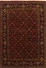 Herati Red Hand Knotted 411 X 74  Area Rug 250-20109 Thumb 0