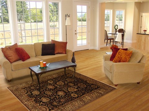 Tabriz Black Hand Knotted 40 X 63 Area Rug 250-20130 Image 5