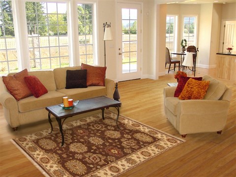 Ziegler Brown Hand Knotted 311 X 510 Area Rug 250-20184 Image 5
