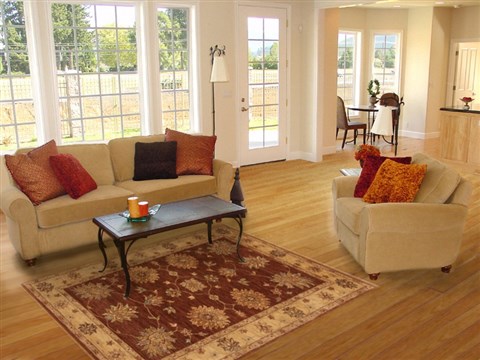 Ziegler Brown Hand Knotted 40 X 60 Area Rug 250-20195 Image 5