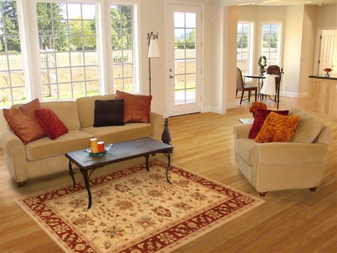 Pishavar Beige Hand Knotted 42 X 59 Area Rug 250-20258 Image 5