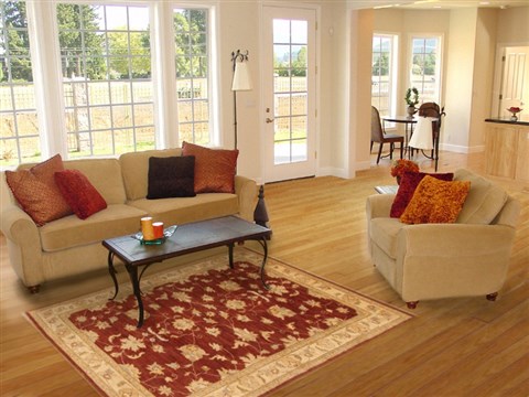 Pishavar Brown Hand Knotted 311 X 60 Area Rug 250-20259 Image 5
