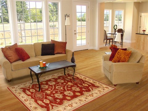 Pishavar Red Hand Knotted 310 X 59 Area Rug 250-20269 Image 5
