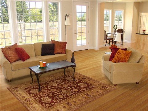 Ziegler Brown Hand Knotted 311 X 58 Area Rug 250-20270 Image 5