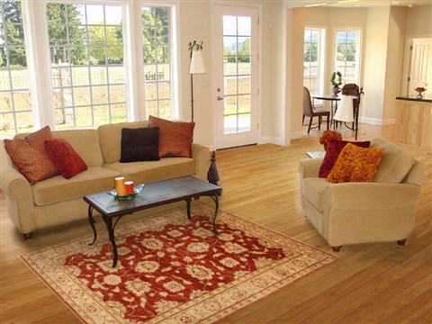Pishavar Brown Hand Knotted 40 X 59 Area Rug 250-20273 Image 5