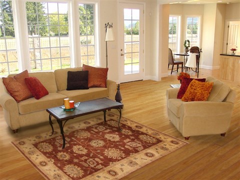 Pishavar Brown Hand Knotted 40 X 62 Area Rug 250-20279 Image 5