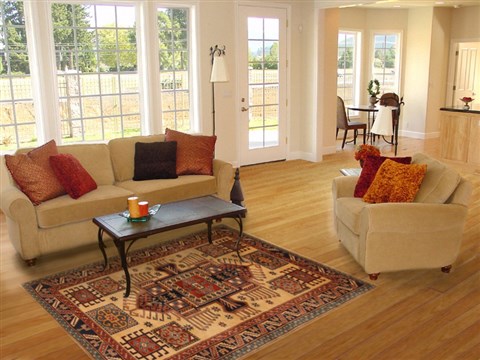 Shirvan Beige Hand Knotted 40 X 59 Area Rug 250-20303 Image 5