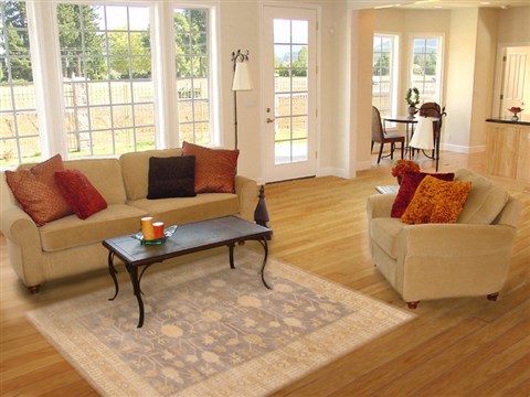 Oushak Grey Hand Knotted 40 X 60  Area Rug 250-20304 Image 5