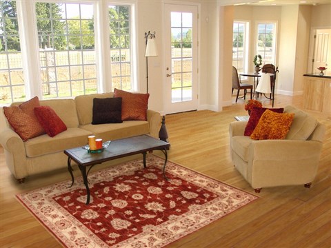 Ziegler Red Hand Knotted 41 X 57  Area Rug 250-20316 Image 5