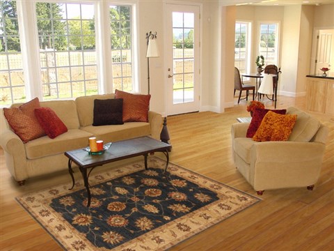 Ziegler Blue Hand Knotted 40 X 59  Area Rug 250-20318 Image 5