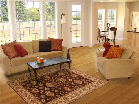 Agra Brown Hand Knotted 411 X 70 Area Rug 250-20333 Image 5