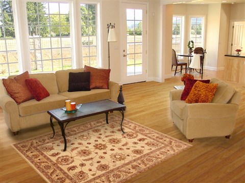 Pishavar Beige Hand Knotted 45 X 63 Area Rug 250-20341 Image 5