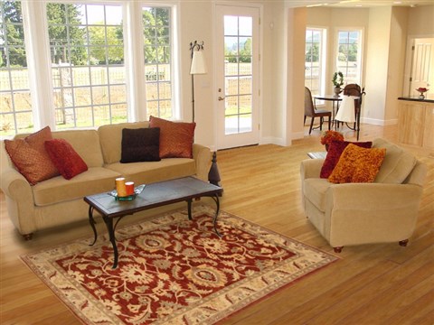 Pishavar Red Hand Knotted 52 X 68 Area Rug 250-20344 Image 5