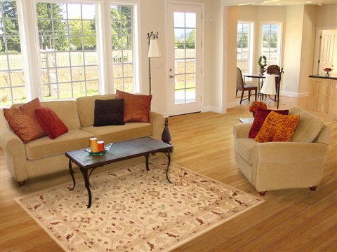 Pishavar Beige Hand Knotted 50 X 67 Area Rug 250-20351 Image 5