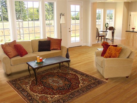 Serapi Brown Hand Knotted 411 X 70 Area Rug 250-20359 Image 5