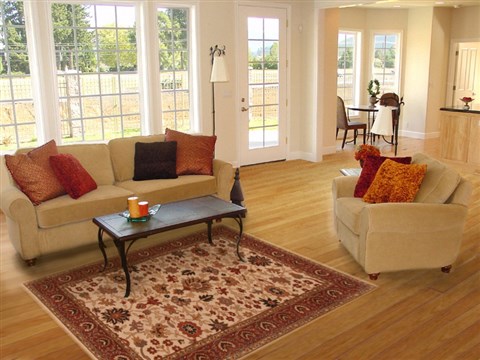 Serapi Beige Hand Knotted 411 X 72 Area Rug 250-20374 Image 5