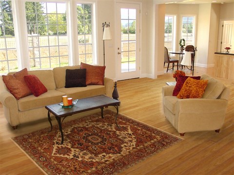 Serapi Brown Hand Knotted 51 X 70 Area Rug 250-20376 Image 5