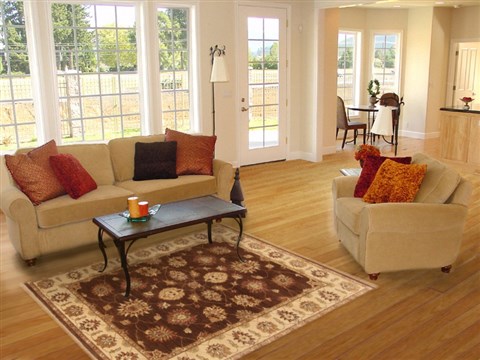 Ziegler Brown Hand Knotted 50 X 67  Area Rug 250-20402 Image 5