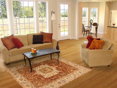 Serapi Brown Hand Knotted 50 X 611 Area Rug 250-20405 Image 5