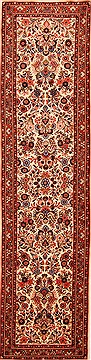 Birjand Beige Runner Hand Knotted 2'9" X 13'0"  Area Rug 100-20409