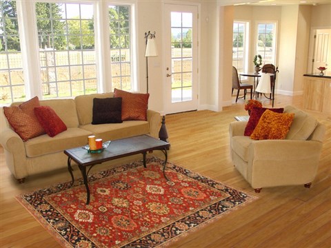 Serapi Red Hand Knotted 50 X 610 Area Rug 250-20424 Image 5