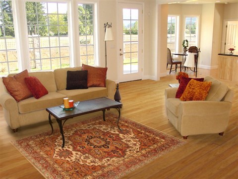 Serapi Brown Hand Knotted 50 X 71 Area Rug 250-20435 Image 5