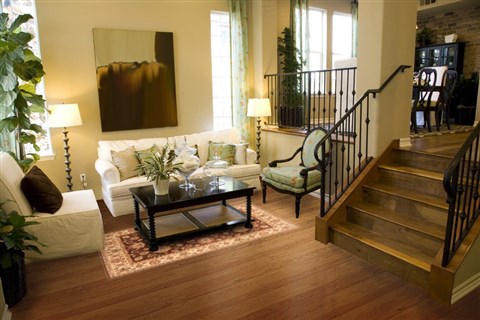 Agra Brown Hand Knotted 50 X 72 Area Rug 250-20444 Image 4