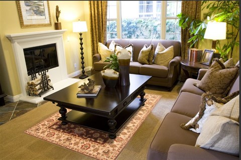 Agra Brown Hand Knotted 50 X 72 Area Rug 250-20444 Image 3