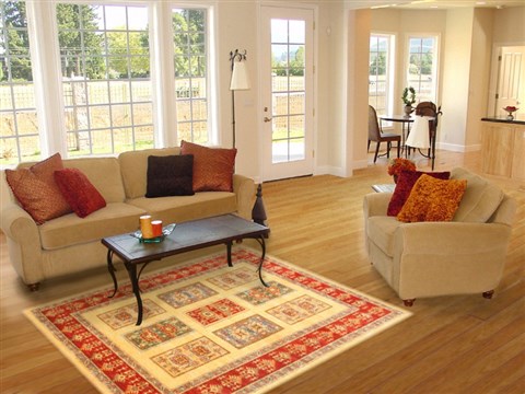 Pishavar Yellow Hand Knotted 50 X 69 Area Rug 250-20456 Image 5