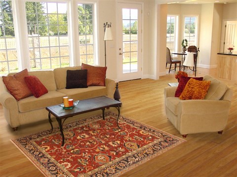 Serapi Orange Hand Knotted 50 X 71 Area Rug 250-20464 Image 5