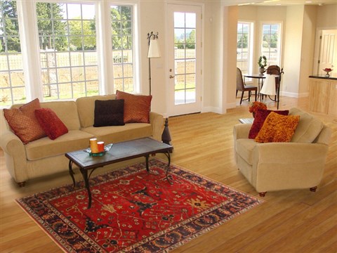 Heriz Red Hand Knotted 51 X 69 Area Rug 250-20465 Image 5
