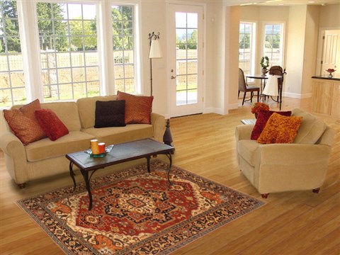 Serapi Orange Hand Knotted 411 X 611 Area Rug 250-20471 Image 5