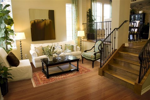Serapi Brown Hand Knotted 50 X 610 Area Rug 250-20473 Image 4