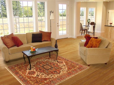 Serapi Brown Hand Knotted 50 X 610 Area Rug 250-20473 Image 5