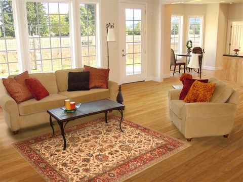 Serapi Beige Hand Knotted 50 X 71 Area Rug 250-20479 Image 5
