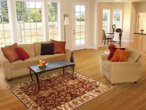 Agra Red Hand Knotted 40 X 60 Area Rug 250-20492 Image 5