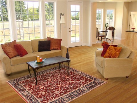 Kashan Red Hand Knotted 40 X 60 Area Rug 250-20498 Image 5
