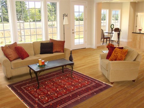 Khan Mohammadi Red Hand Knotted 38 X 510 Area Rug 250-20511 Image 5
