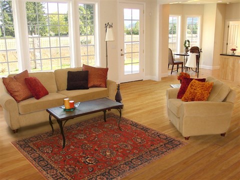 Tabriz Red Hand Knotted 40 X 60 Area Rug 250-20519 Image 5