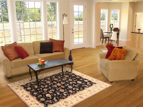 Kashan Black Hand Knotted 40 X 60 Area Rug 250-20523 Image 5