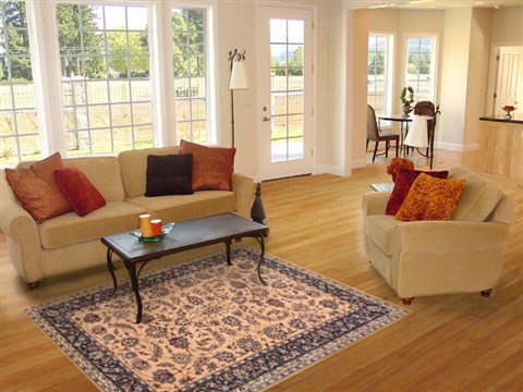 Kashan Beige Hand Knotted 40 X 61 Area Rug 250-20526 Image 5