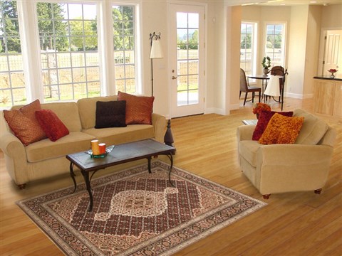 Tabriz Black Hand Knotted 43 X 60 Area Rug 250-20527 Image 5