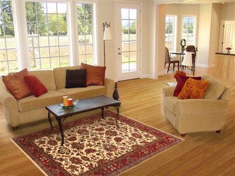 Kashmar Beige Hand Knotted 41 X 60 Area Rug 250-20598 Image 5
