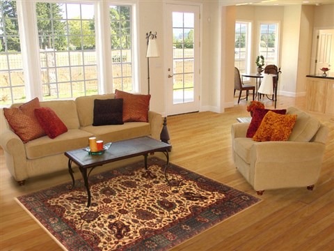 Tabriz Beige Hand Knotted 40 X 60 Area Rug 250-20599 Image 5