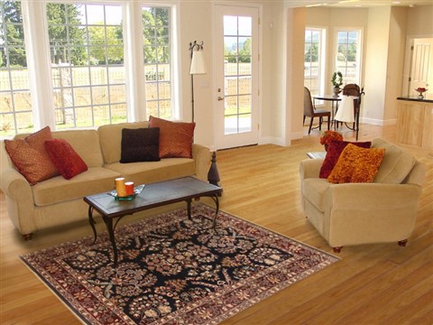Sarouk Black Hand Knotted 40 X 63 Area Rug 250-20609 Image 5
