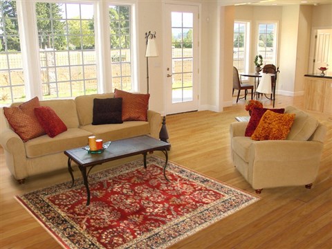 Sarouk Red Hand Knotted 311 X 59 Area Rug 250-20613 Image 5