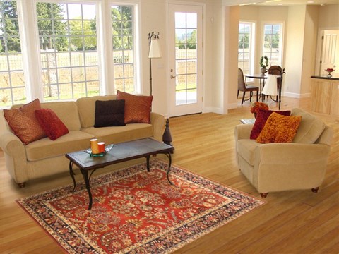 Sarouk Brown Hand Knotted 42 X 60 Area Rug 250-20622 Image 5