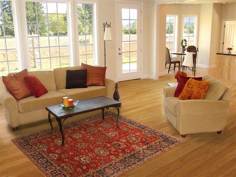 Tabriz Red Hand Knotted 40 X 60 Area Rug 250-20627 Image 5