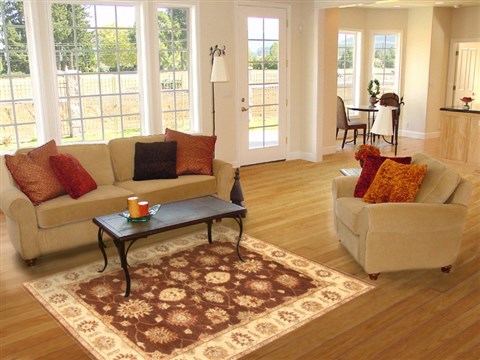 Ziegler Brown Hand Knotted 50 X 68  Area Rug 250-20661 Image 5