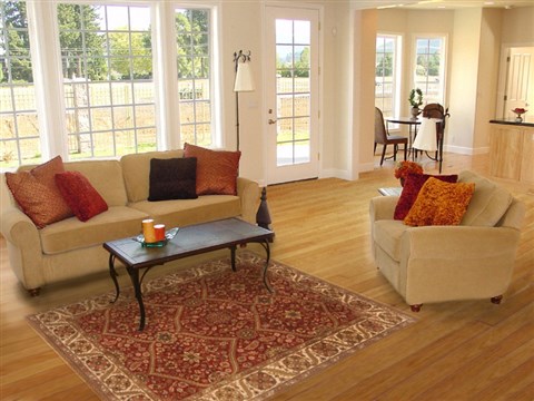 Agra Red Hand Knotted 51 X 71 Area Rug 250-20663 Image 5